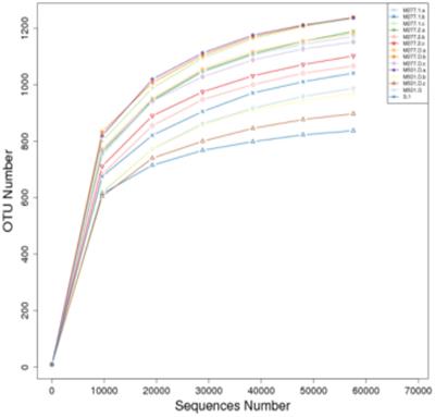 Analysis of Microbial Community Structure and Diversity in Burial Soil of Yangguanzhai Cemetery